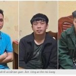 越南3人因组织11名中国公民非法入境，被逮捕-白菜社区网-白菜论坛